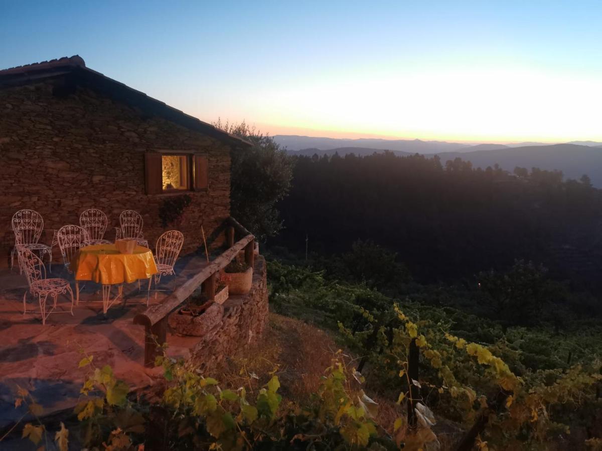 Casa Da Vinha Em Tabuaco - Douro Villa Exterior photo