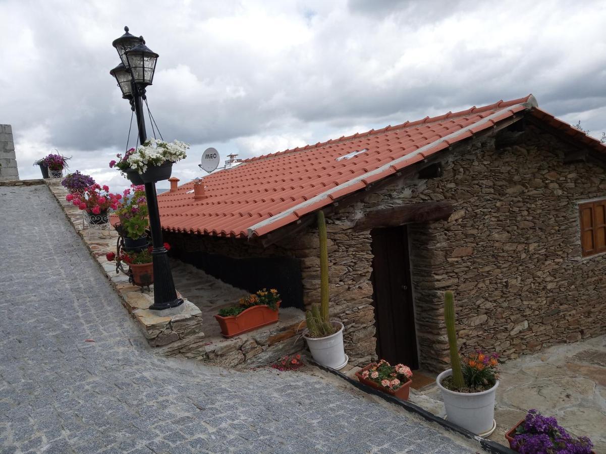 Casa Da Vinha Em Tabuaco - Douro Villa Exterior photo